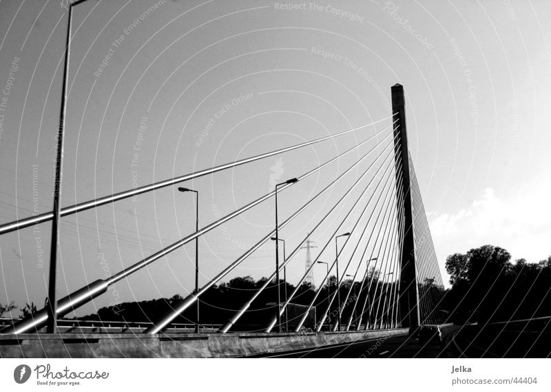 Brücke Bauwerk Architektur Straße komplex Laterne Brückenkonstruktion Schwarzweißfoto