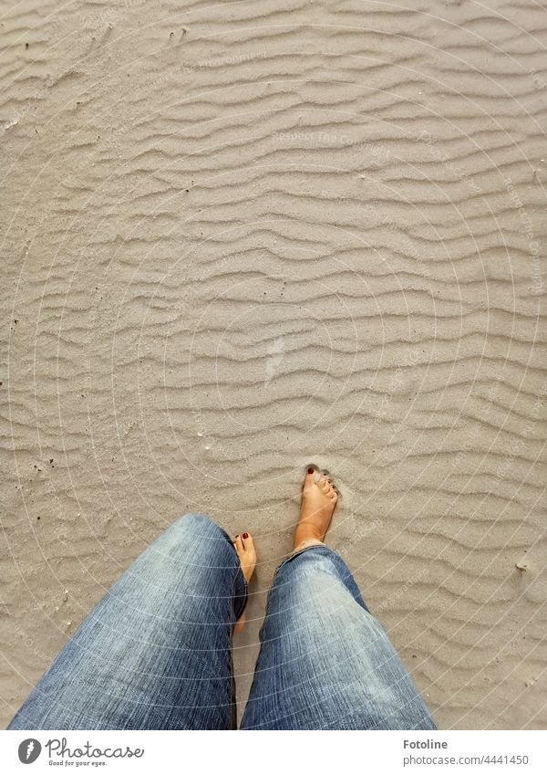 Barfuß den Strand entlang laufen. Die nackten Füße berühren den weichen warmen Sand. Fuß Zehen Mensch Beine Haut Sommer Strandsand Strandspaziergang