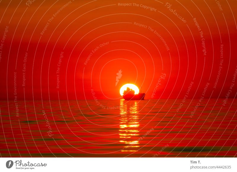 ein Handelsschiff fährt direkt in den Sonnenuntergang seefahrt Ostsee Baltic Sea ship sunset Sonnenlicht Meer Horizont Wasser sea Wellen waves Himmel Natur