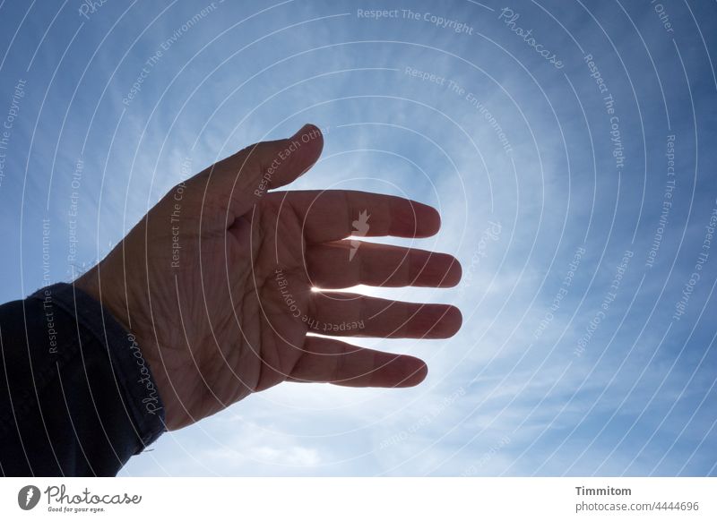 Mit der Hand die Augen schützen Finger Himmel blau Wolken Sonnenlicht Schatten schützend Außenaufnahme Licht Schönes Wetter Gegenlicht Dänemark