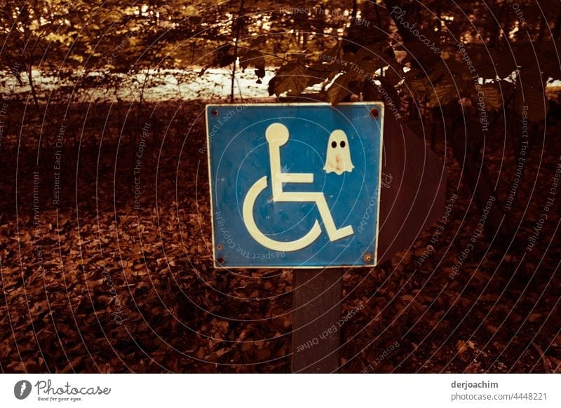 Geheimnissvolle Geister  Masken für Rollstuhlfahrer Farbfoto Menschenleer Außenaufnahme Behinderte Behindertengerecht Schilder & Markierungen Zeichen Parkplatz