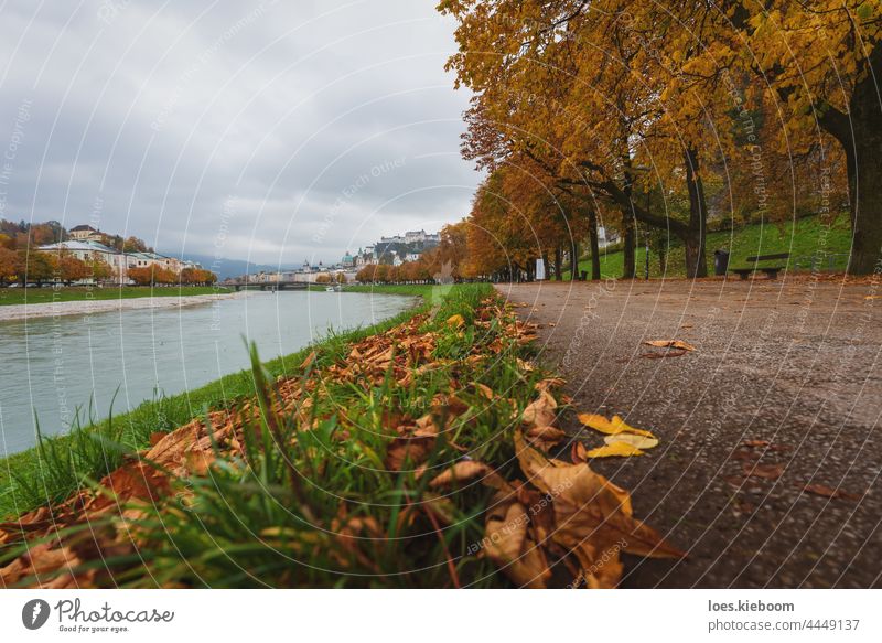 Herbstlaub bedeckter Weg entlang der Salzach mit Blick auf die Altstadt von Salzburg, Österreich Fluss Baum fallen Blätter Laubwerk Natur Stadt Blatt Landschaft