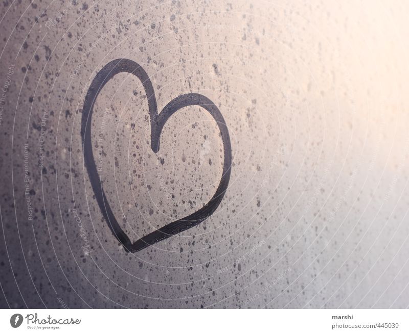 Liebeserklärung Klima Wetter Gefühle Herz herzlich Symbole & Metaphern Tau morgends Farbfoto Außenaufnahme Innenaufnahme Morgendämmerung Dämmerung