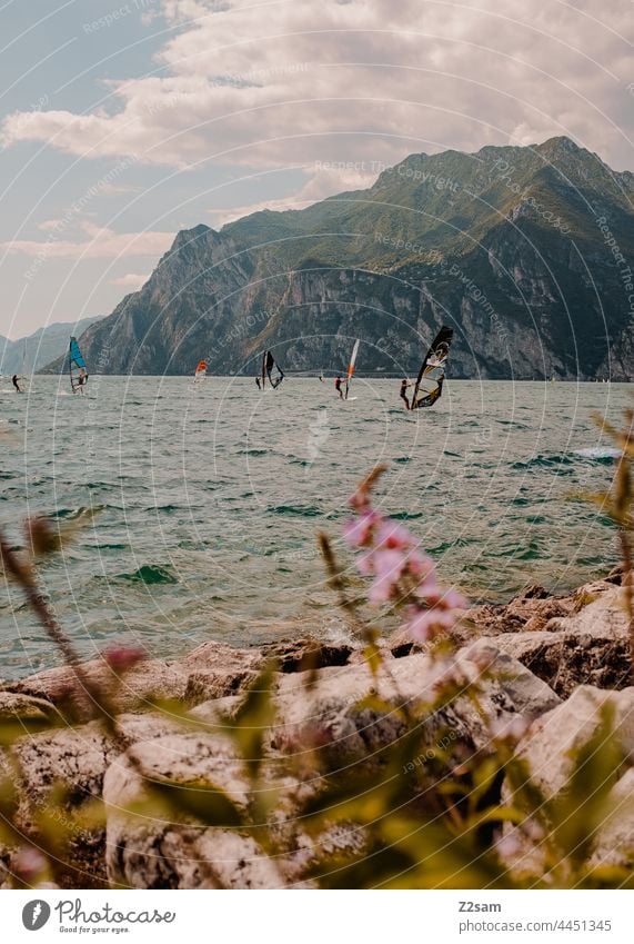 Gardasee / Torbole gardasee Vagination sehen Urlaub Sommer Sonne Wärme gebirge Berg heben Spiegelung mediterran Reise Natur norditalien Erholung freizeit