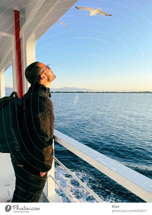 Ein Mann steht an der Reling einer Fähre und beobachtet die vorbeifliegenden Möwen beobachten Überfahrt Passagierschiff Ausflug An Bord Meer Freiheit