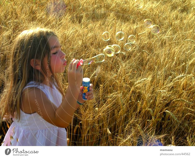 ...ins Feld geblasen Mädchen Seifenblase Kind träumen verträumt Getreide Korn Haare & Frisuren