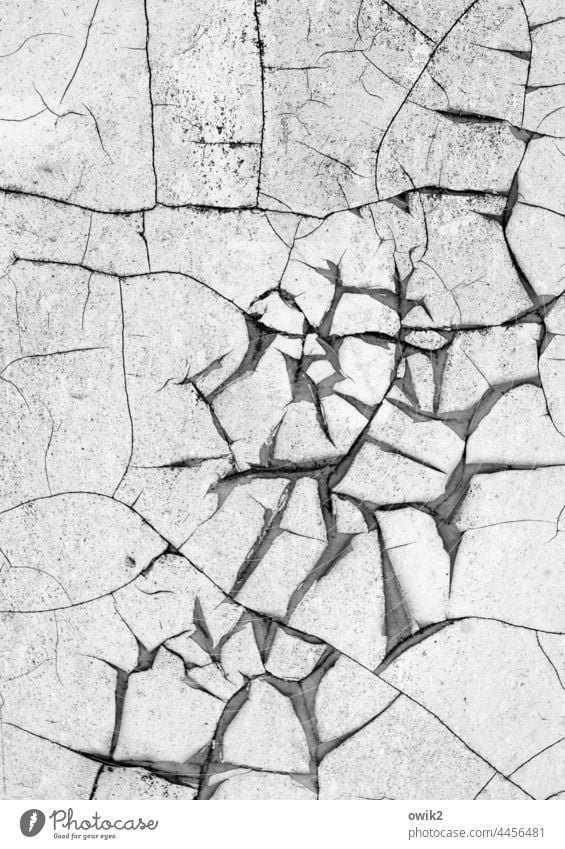 Gerissen Wand Risse Spuren Vergänglichkeit bizarr durcheinander grau trocken abblättern Zahn der Zeit Detailaufnahme Strukturen & Formen alt Nahaufnahme Verfall
