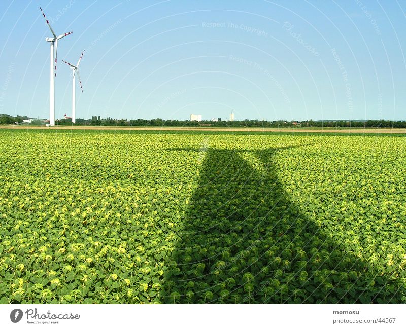 ...energieschatten Feld Sonnenblume Licht Wissenschaften Windkraftanlage Energiewirtschaft Schatten Himmel