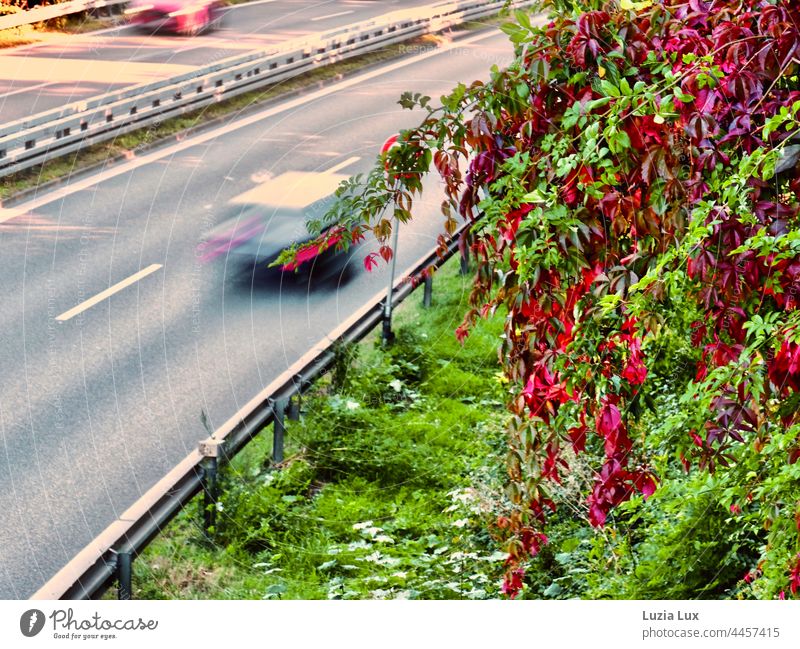 Bundesstraße, Geschwindigkeit und Herbstfarben Straße schnell Verkehr Bewegung Unschärfe urban verschwommen Fahrzeug Auto Autos rot grün Herbstlaub Reben Ranken