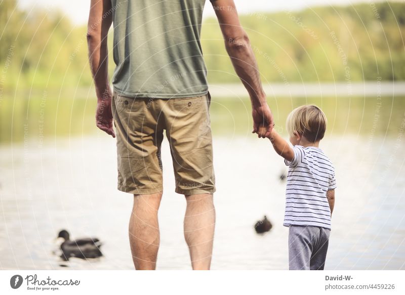 Vater und Sohn beobachten zusammen die Enten am See gemeinsam Familie Hände halten Hand in Hand Vertrauen Natur draußen Zusammensein Eltern festhalten Papa Kind