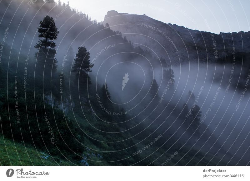Morgens um 6 Uhr ist die Welt noch in Ordnung Umwelt Natur Landschaft Pflanze Sommer Klima Wetter Schönes Wetter Nebel Baum Felsen Alpen Berge u. Gebirge