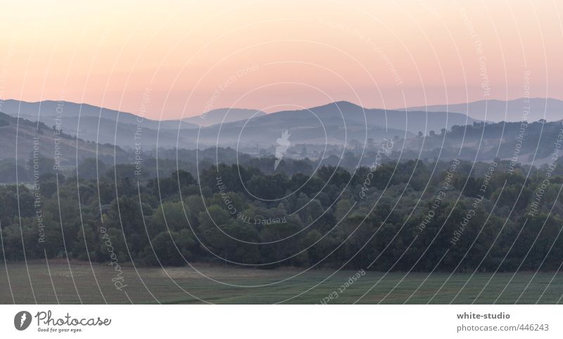 Weitblick Landschaft Freiheit Dunst Nebel Nebelbank Nebelwald Toskana Italien Berge u. Gebirge Natur Morgendämmerung Abenddämmerung Morgennebel Ferne Hügel