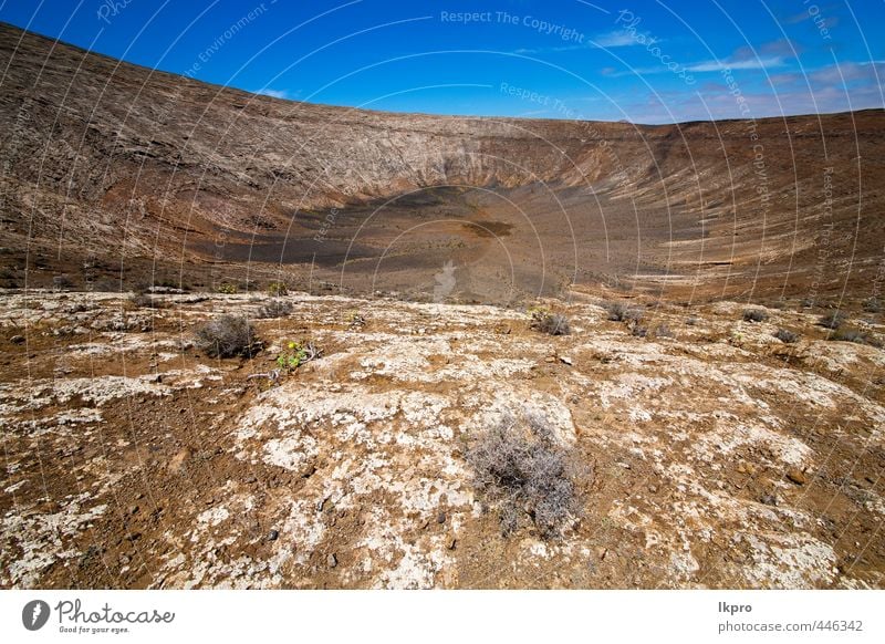 in los vulcanes lanzarote Ferien & Urlaub & Reisen Tourismus Ausflug Abenteuer Sommer Insel Berge u. Gebirge Natur Landschaft Pflanze Sand Himmel Wolken Blume