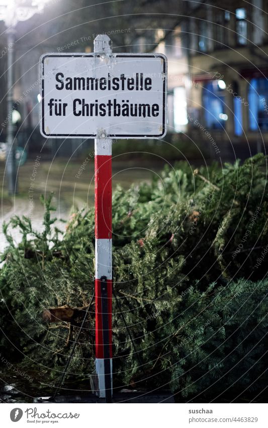 schild bei nacht mit der aufschrift: sammelstelle für christbäume Schild Hinweisschild Schilder & Markierungen Aufschrift Text Information winterlich Buchstaben