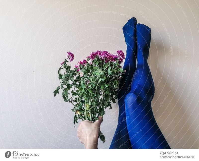 Beine in blauen Strümpfen Strumpfhose Bekleidung Mode Stil Frau feminin Farbfoto Mensch dünn elegant Fuß trendy Schuhe Blumenstrauß