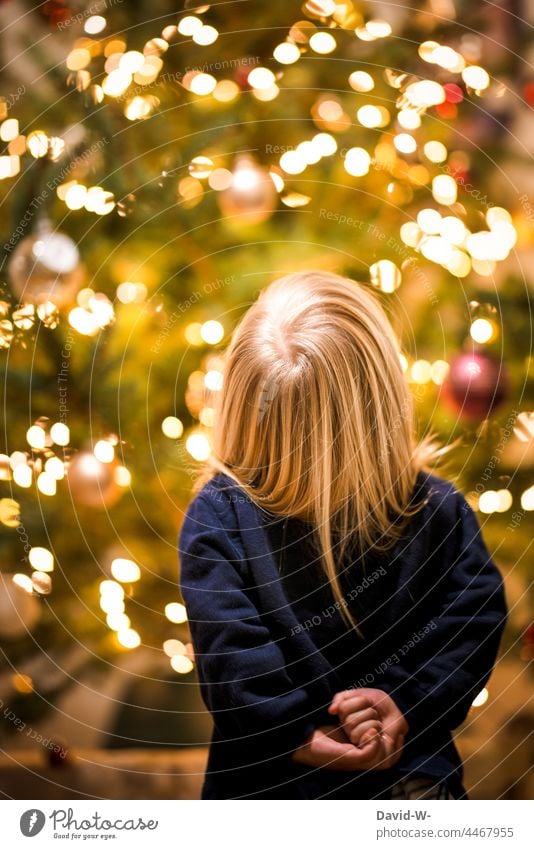 Kind an Weihnachten vor einem geschmückten Weihnachtsbaum Lichterkette vorfreude leuchten Weihnachtsbeleuchtung staunen niedlich