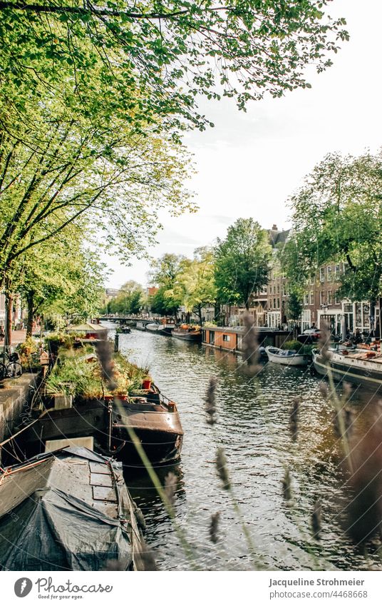 Blick auf Hausboote in der Prinsengracht, Amsterdam, Niederlande Berensluis holländisch Gracht Kanal Die 9 Straatjes De Negen Straatjes Grüne Stadt Fluss Boot