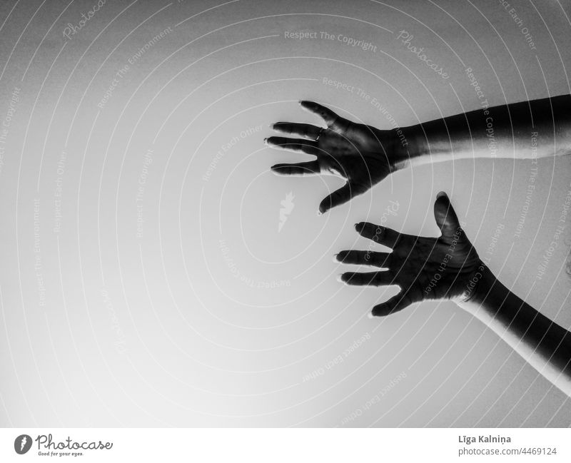 Hände Hand Schwarzweißfoto Finger Handfläche Mensch Schatten Körper sehr wenige minimalistisch Arme Entwurf gestikulieren Handgelenk Hintergrund neutral
