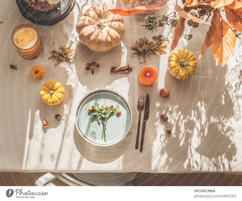 Draufsicht auf einen herbstlich gedeckten Tisch mit Kürbissen, Blättern, Teller, Besteck und Stuhl. Sonnenlicht. Ansicht von oben Herbst Einstellung gemütlich