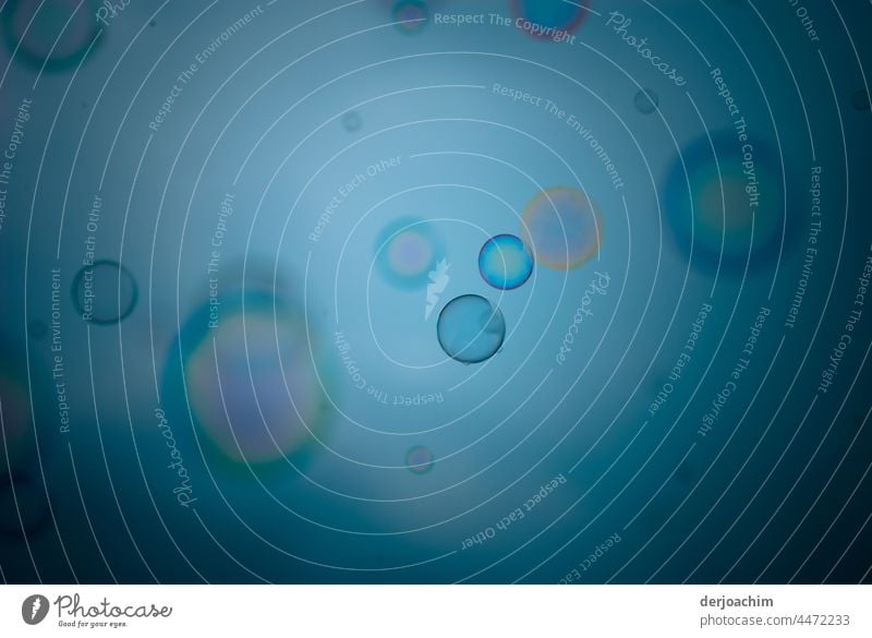 Große und kleine  Seifenblasen in der Luft. Reflexion & Spiegelung Farbfoto fliegen Schweben mehrfarbig Außenaufnahme Menschenleer Leichtigkeit Tag blau