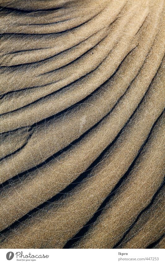 abstrakte Textur eines trockenen Sandes und des Strandes Ferien & Urlaub & Reisen Tourismus Ausflug Sommer Insel Natur Felsen Küste Fluss Stein dreckig braun