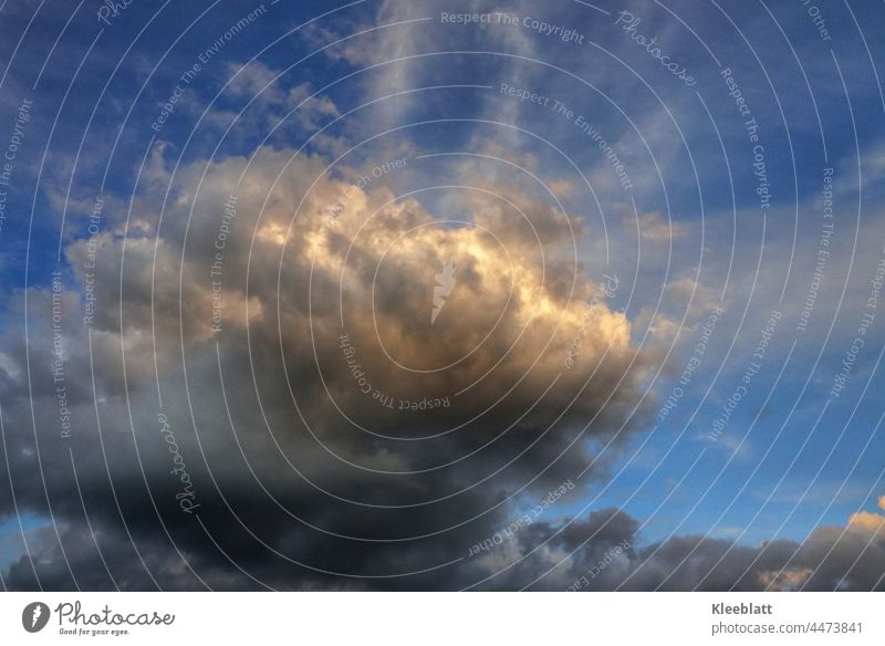 Inneres Leuchten - Abendliche Regenwolke die von der Sonne ihre letzten Strahlen erhält. Regenwolken Himmel Farbfoto Außenaufnahme Textfreiraum oben Klima Natur