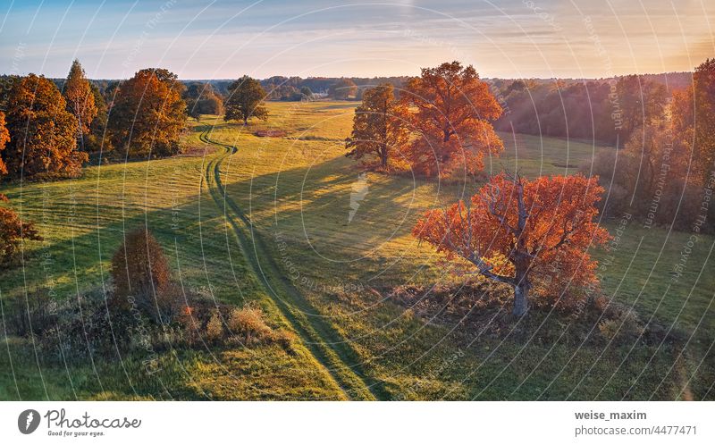 Landstraße auf grünen Feldern. Sonniges Luftbildpanorama, Weißrussland. Landschaft mit Korkeichen Baum Herbst Wiese Eiche Park Saison Wald Panorama im Freien