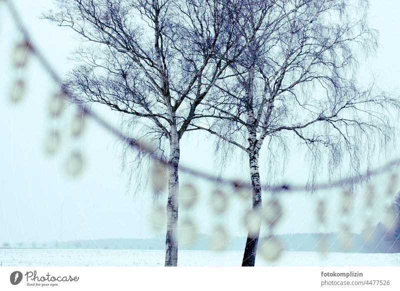 Wintermärchen: Birkenhochzeit in weißer Winterlandschaft Bäume Baum zwei Schnee kalt Kristalle Liebe Frost gefroren Winterstimmung Wintertag Kälte