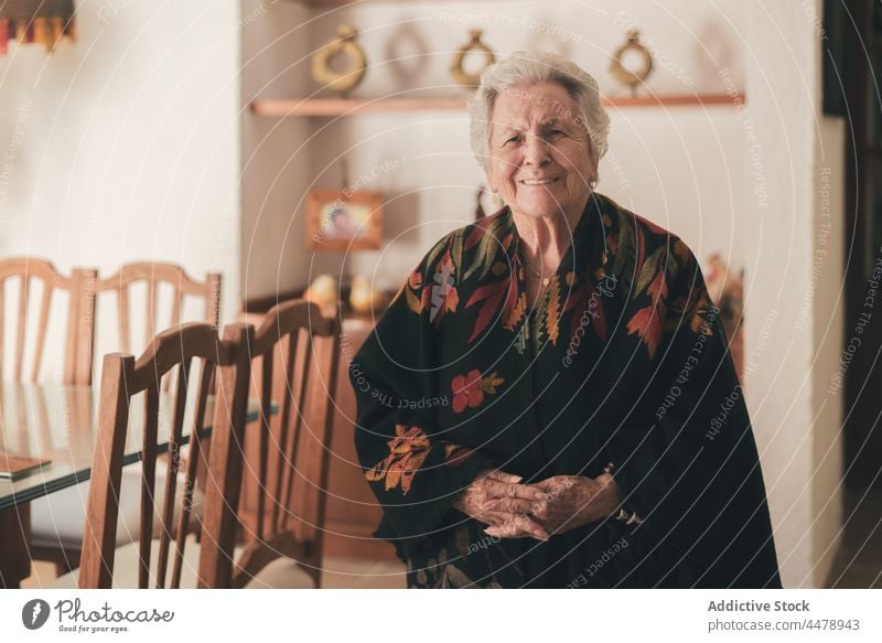 Ältere lächelnde Frau mit warmem Schal im Esszimmer Tuch älter Hautfalten Art graues Haar Rentnerin in den Ruhestand gehen Lebensalter Senior Porträt Ornament
