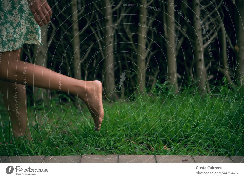 Beine, die auf dem Gras laufen, mit Bäumen im Hintergrund. Barfuß treten Fuß grün Außenaufnahme Farbfoto konzeptionell Zehen Erholung