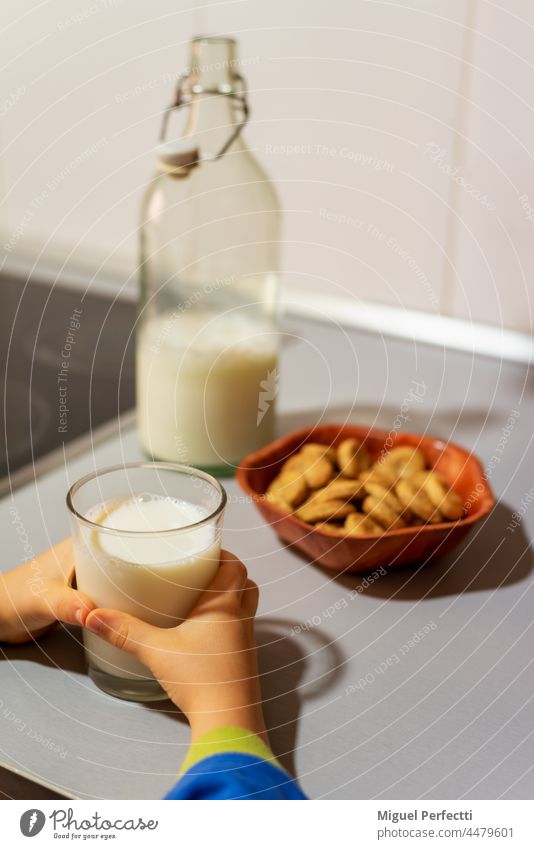 Kinderhände, die nach einem Glas mit Milch greifen, das neben einem Glas mit Keksen und einer Flasche auf dem Küchentisch steht. melken Frühstück Hände