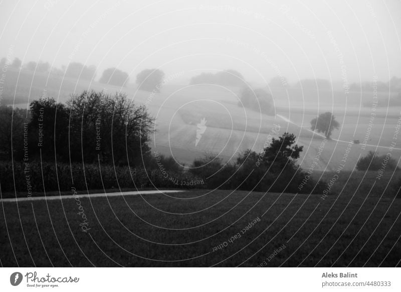 Hügellandschaft im Nebel in schwarzweiß Schwarzweißfoto Landschaft Menschenleer Außenaufnahme Herbst Einsamkeit Stimmung Natur dunkel ruhig