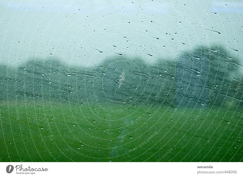 Reise durch Regen Umwelt Landschaft Wasser Wassertropfen Himmel Herbst Wetter schlechtes Wetter Wind Baum Gras Fenster Personenverkehr Bahnfahren