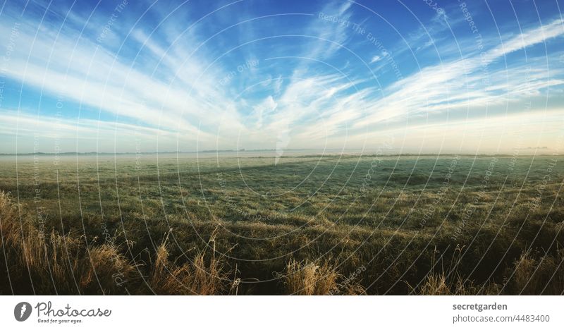 [Teufelsmoor 2021] Es ist alles eine Frage der Perspektive. (und die ist der Wahnsinn) Moor Heide Landschaft Himmel Wolken Morgendämmerung morgens Sonnenaufgang