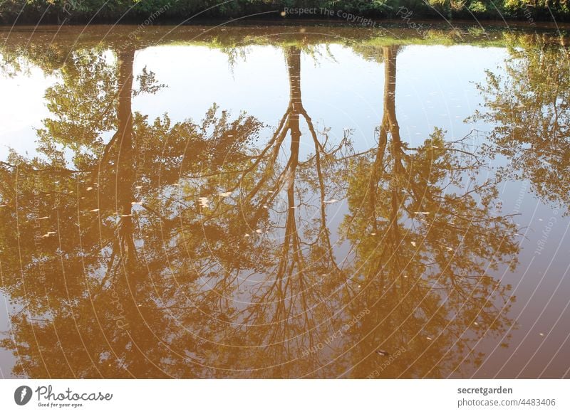 [Teufelsmoor 2021] Parallelwelt Spiegelung Wasser Fluß Bäume Flussufer Reflexion & Spiegelung Natur Landschaft Farbfoto Menschenleer Himmel Schönes Wetter