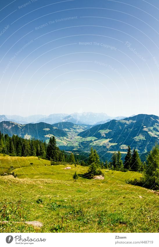Wildschönau Ferien & Urlaub & Reisen Ausflug Freiheit Sommer Sommerurlaub Natur Landschaft Wolkenloser Himmel Baum Wiese Wald Alpen Berge u. Gebirge Gipfel