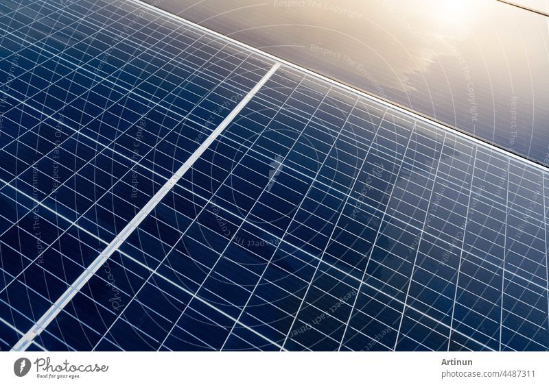 Sonnenkollektoren oder Photovoltaikmodule. Sonnenenergie für grüne Energie. Nachhaltige Ressourcen. Erneuerbare Energie. Saubere Technologie. Solarzellenpaneele nutzen das Sonnenlicht als Quelle für die Stromerzeugung.
