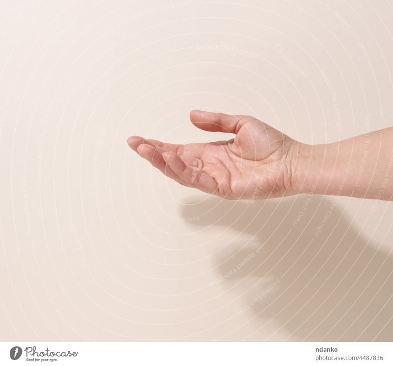 Weibliche Teenagerhand, die etwas auf einem beigen Hintergrund hält. Werbung und Produktförderung Hand Finger Person leer weiß Frau gestikulieren Handfläche