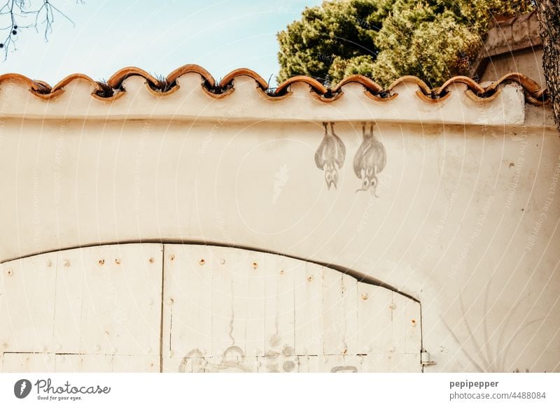 Fledermäuse – gemalte Fledermäuse auf eine Hausfassade gemalt malen Streetart Kreativität streetart Graffiti Kunst Fassade Straßenkunst Mauer Wand Wandmalereien