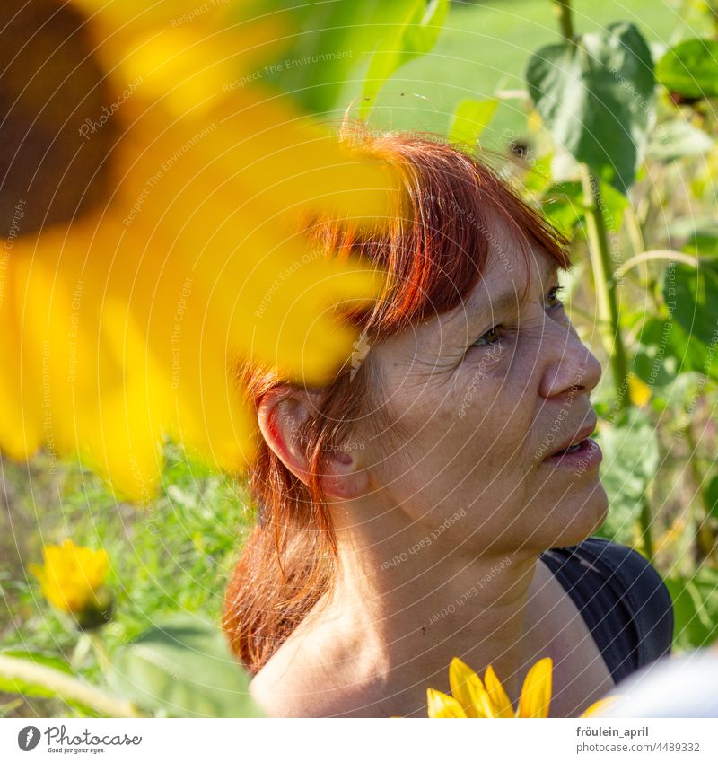 UT Teufelsmoor | im Sonnenblumenfeld Frau gelb Blume Sommer Frauengesicht natürlich warm Natur Blüte Außenaufnahme Sonnenlicht