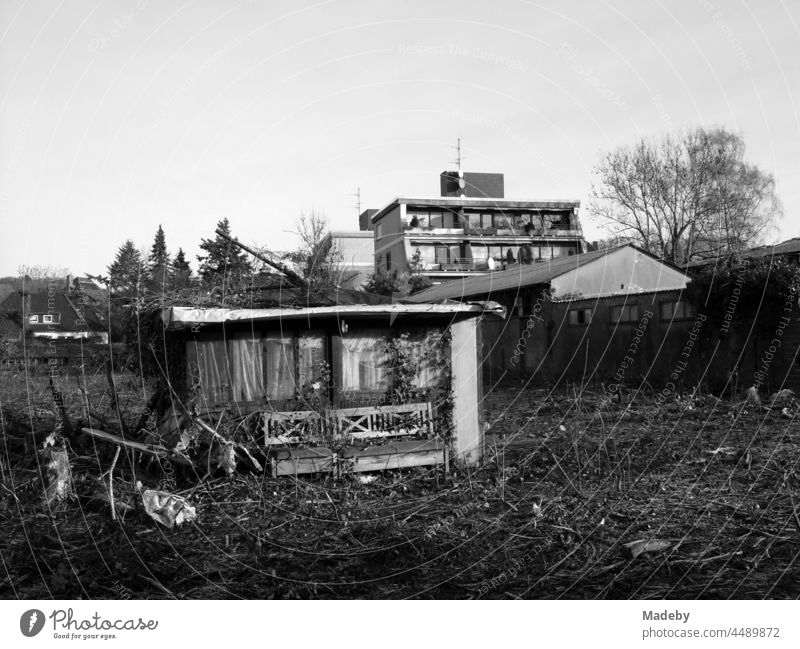Ales verfallenes Gartenhaus kurz vor dem Abriss in einem ehemaligen Schrebergarten auf zu erschließendem Bauland in Lage bei Detmold in Ostwestfalen-Lippe, fotografiert in neorealistischem Schwarzweiß
