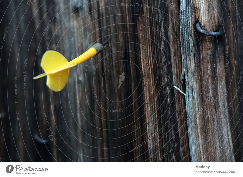 Gelber Dartpfeil aus Kunststoff im braunen Holz einer alten Scheune auf einem Bauernhof in Rudersau bei Rottenbuch im Kreis Weilheim-Schonhau in Oberbayern
