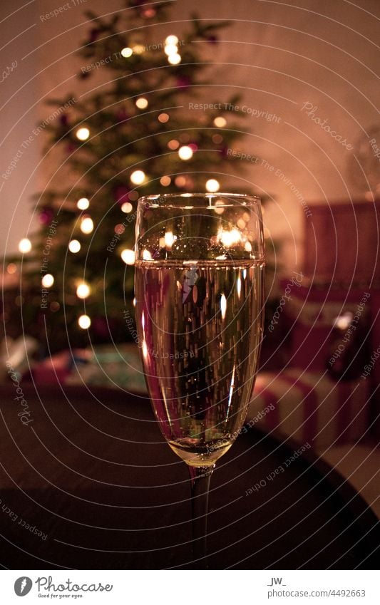 Sektglas vor einem Weihnachtsbaum Weihnachten & Advent Glas Feste & Feiern Alkohol Silvester u. Neujahr Menschenleer Innenaufnahme Licht Nacht Freude Farbfoto