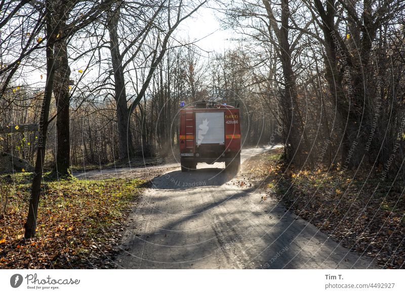 eine Polnische Feuerwehr von hinten im Herbst Polen Auto Menschenleer Farbfoto Außenaufnahme Tag Natur Landschaft Umwelt Baum Schönes Wetter Verkehr Straße