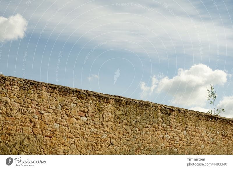 Die große Mauer. Blauer Himmel und Wolken. Gedanken sind frei. Steine blau sanft Baum Hoffnung Leichtigkeit Enge Begrenzung weiß Außenaufnahme Schönes Wetter