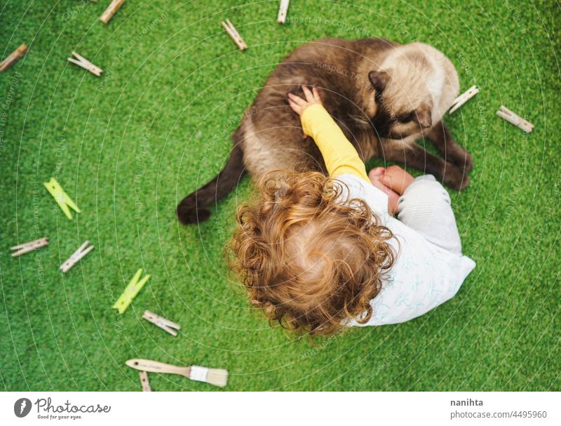 Baby spielt mit seiner Katzenfreundin Kind heimwärts frei Hinterhof siamesisch Haustier bezaubernd Liebe Familie genießen Freude Leben Lifestyle Spaß lustig