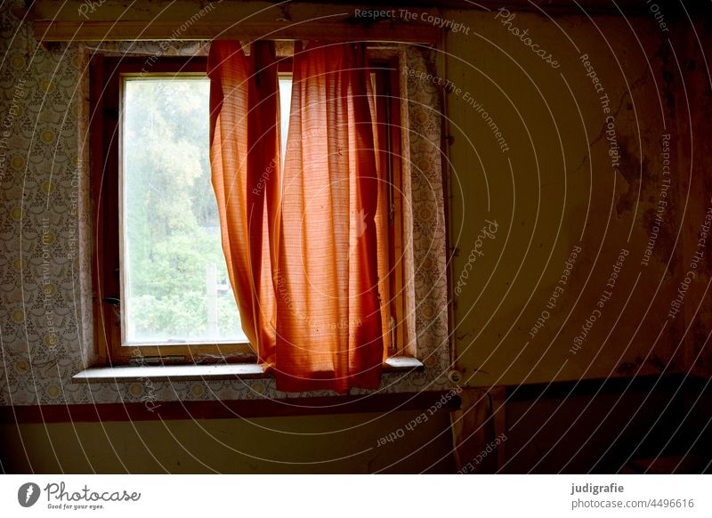 Fenster mit Vorhang in verlassenem Bungalow im Wald Fensterscheibe Gardine Tapete alt marode Haus Hütte Urlaub Ferien Licht Fensterblick Fensterrahmen Gebäude