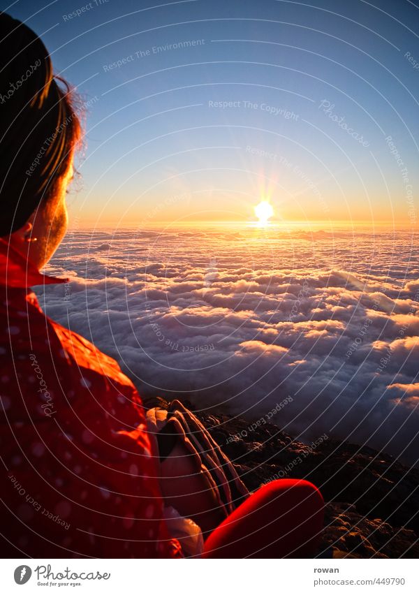 sonnenuntergang über den wolken Mensch feminin Junge Frau Jugendliche Erwachsene 1 Unendlichkeit Wolken Wolkendecke Himmel Horizont Sonnenuntergang Aussicht