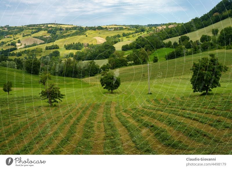 Ländliche Landschaft in der Nähe von Riolo und Canossa, Emilia-Romagna. Europa Italien Reggio Emilia Ackerbau Calanques Außenseite Feld grün Hügel
