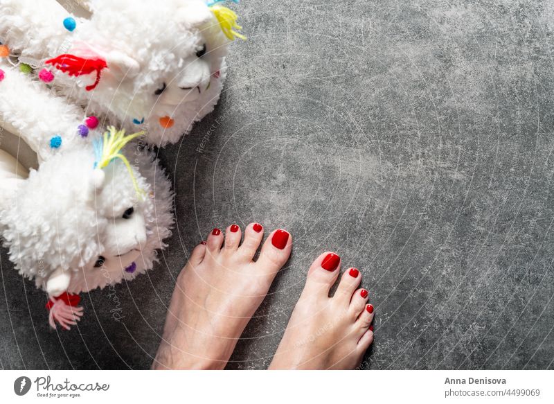 Niedliche weiche 3d Lama Hausschuhe und Füße mit roter Pediküre trendy Frau heimwärts Fuß Teppich Nägel Bodenbelag Winter Beine gemütlich sich[Akk] entspannen